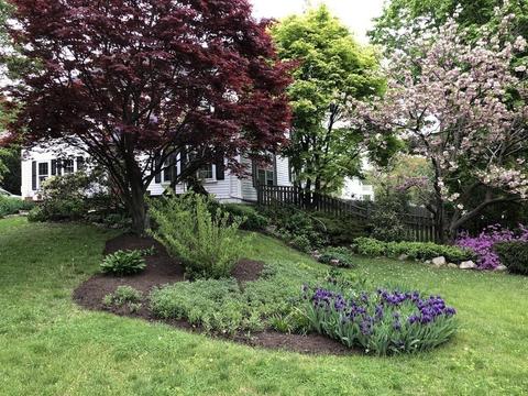 218 Cedar St, Dedham, MA 02026 photo 20