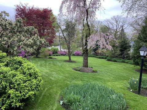 218 Cedar St, Dedham, MA 02026 photo 3