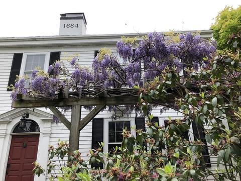 218 Cedar St, Dedham, MA 02026 photo 4
