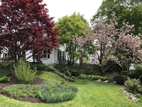 218 Cedar St, Dedham, MA 02026 photo 19