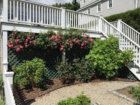20 Kimball Beach Rd, Hingham, MA 02043 photo 22