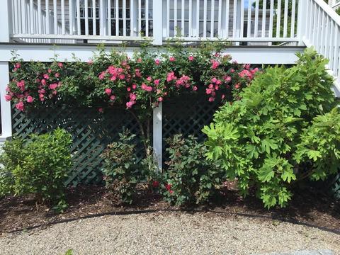 20 Kimball Beach Rd, Hingham, MA 02043 photo 23