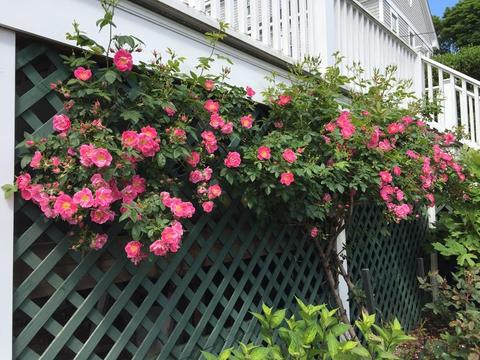 20 Kimball Beach Rd, Hingham, MA 02043 photo 24