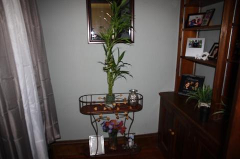 101 Whittier St, Springfield, MA 01108 photo 2