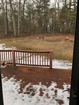 88 Dover Rd, Millis, MA 02054 photo 21