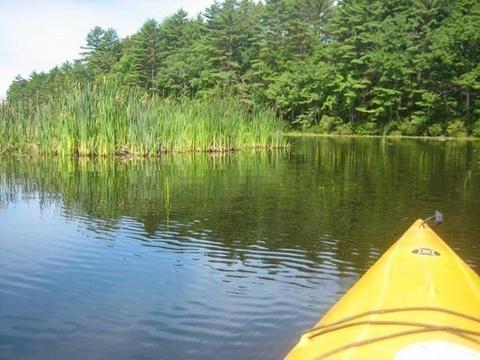 1498 White Pond Rd, Athol, MA 01331 photo 26