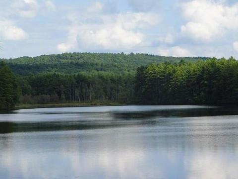 1498 White Pond Rd, Athol, MA 01331 photo 6