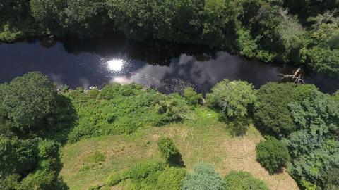 770 Chestnut St, Needham, MA 02492 photo 3