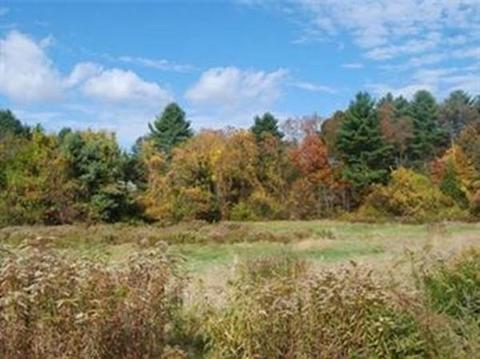 770 Chestnut St, Needham, MA 02492 photo 8