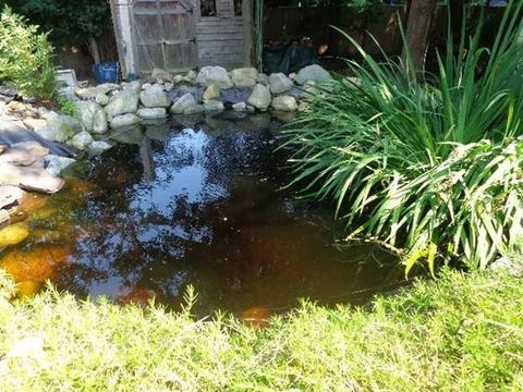 7 Seminole Rd, Canton, MA 02021 photo 26