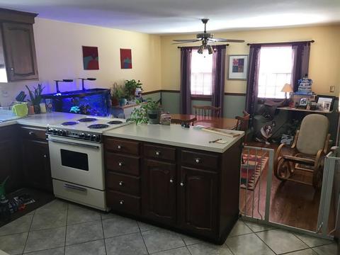 283 Abbott St, Springfield, MA 01118 photo 7