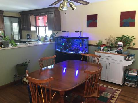 283 Abbott St, Springfield, MA 01118 photo 8