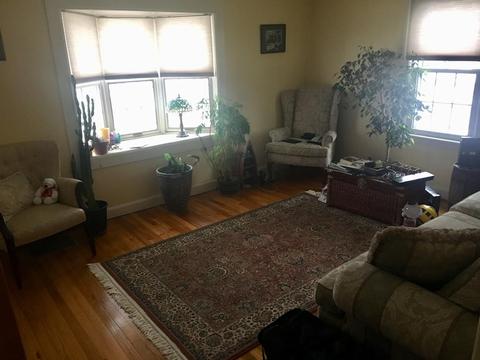 283 Abbott St, Springfield, MA 01118 photo 6