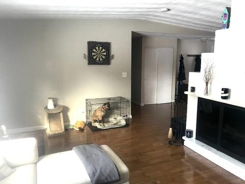22 Ruthellen Rd, Framingham, MA 01701 photo 8