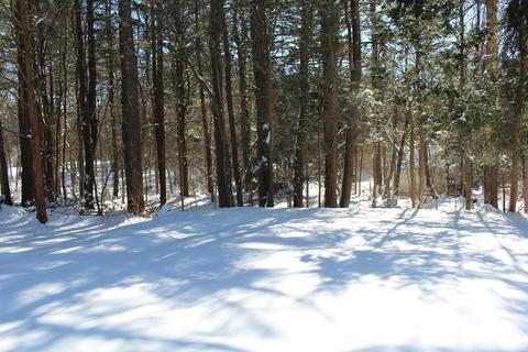 133 Hopkinton Rd, Upton, MA 01568 photo 23