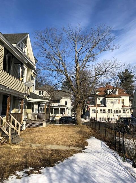60 Northampton Ave, Springfield, MA 01109 photo 5