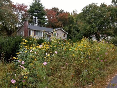 11 Lothrop Rd, Acton, MA 01720 photo 2