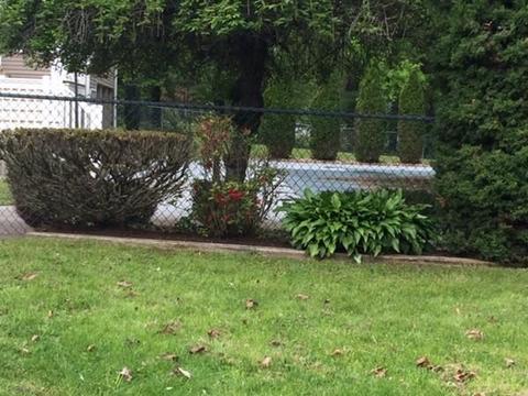 1449 Pine St, Dighton, MA 02715 photo 26