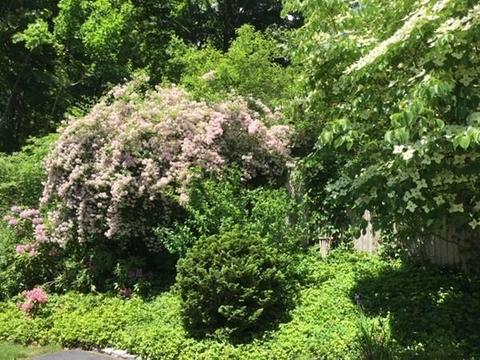 5 Chiltern Hill Dr, Worcester, MA 01602 photo 26