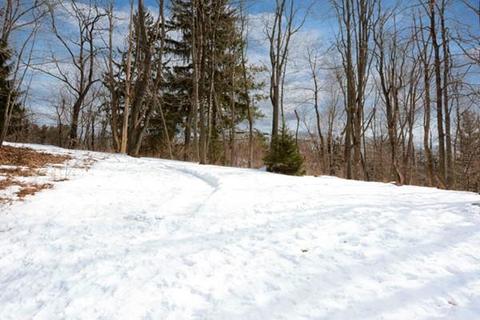 86 Copperfield Rd, Worcester, MA 01602 photo 26