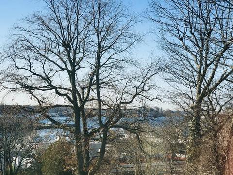 12 Scott, Gloucester, MA 01930 photo 15