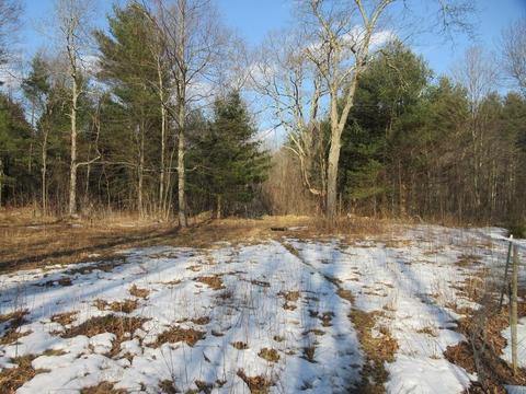 531 E Hill Rd, Oakham, MA 01068 photo 25