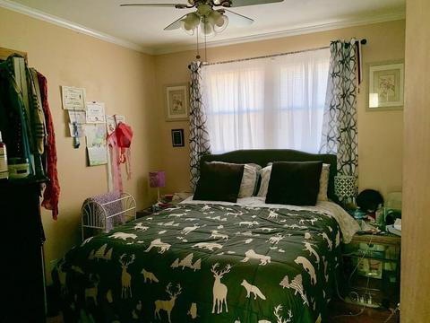 24 Davis St, Springfield, MA 01104 photo 9