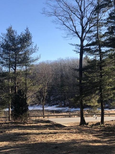 130 State Rd, Phillipston, MA 01331 photo 17
