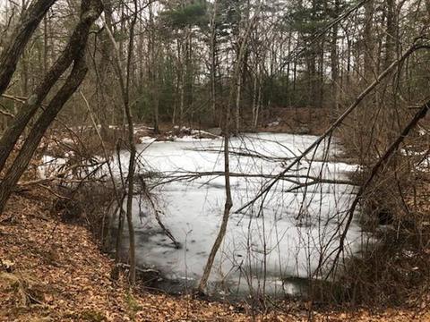 112 E Bacon St, Plainville, MA 02762 photo 10