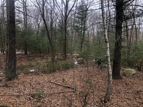 112 E Bacon St, Plainville, MA 02762 photo 2