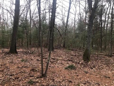 112 E Bacon St, Plainville, MA 02762 photo 7