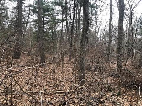 112 E Bacon St, Plainville, MA 02762 photo 9