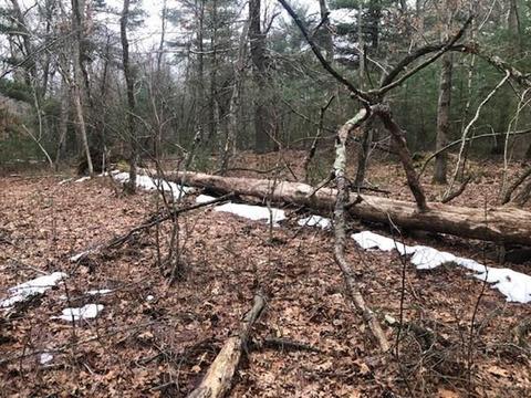 112 E Bacon St, Plainville, MA 02762 photo 6