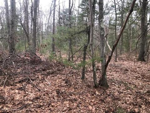 112 E Bacon St, Plainville, MA 02762 photo 5