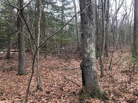 112 E Bacon St, Plainville, MA 02762 photo 4