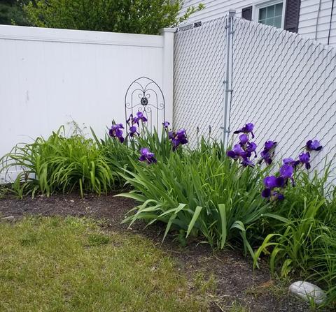 176 Jacob St, Chicopee, MA 01020 photo 5