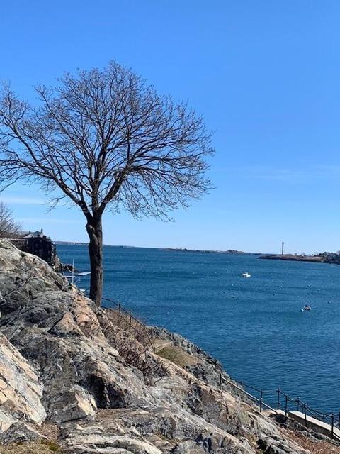 7 Lee St #1, Marblehead, MA 01945 photo 11