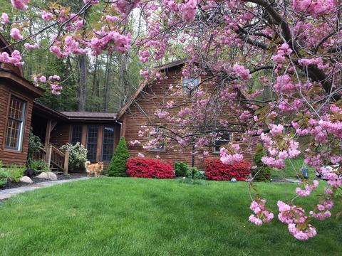 270 E Leverett Rd, Amherst, MA 01002 photo 1