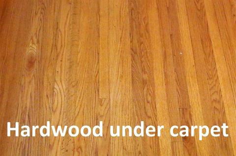 587 Westhampton Rd, Northampton, MA 01062 photo 16