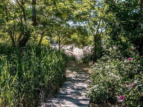 275 Hale St, Beverly, MA 01915 photo 30