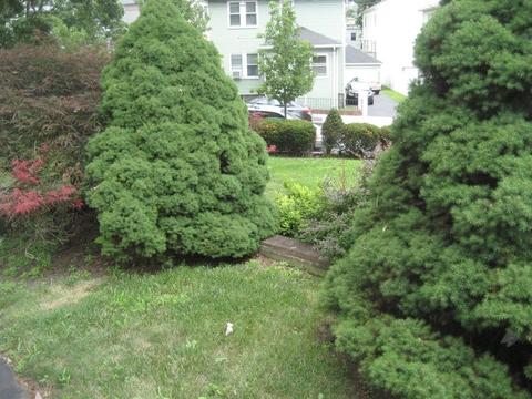 68 Newton St, Everett, MA 02149 photo 4