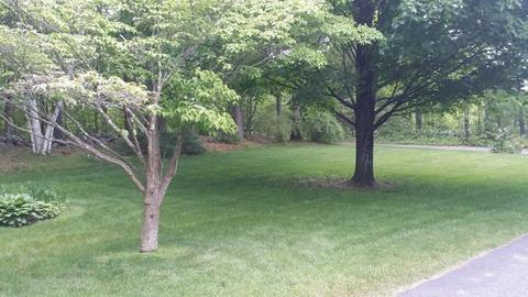 9 Howard Rd, Ware, MA 01082 photo 7