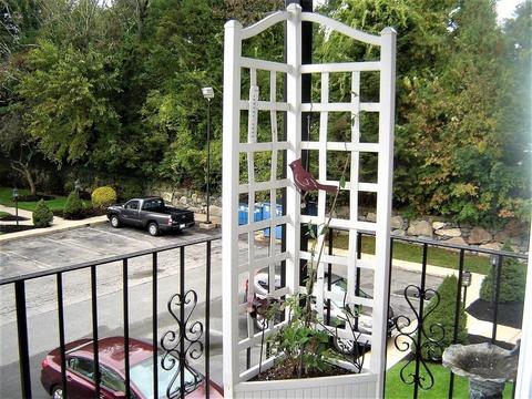 23 Pine St #M, Canton, MA 02021 photo 10