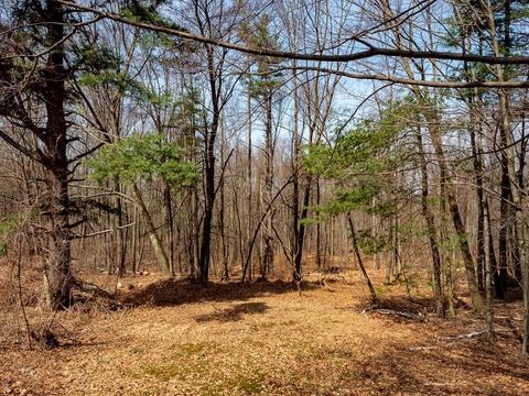 105 Hartness Rd, Sutton, MA 01590 photo 20