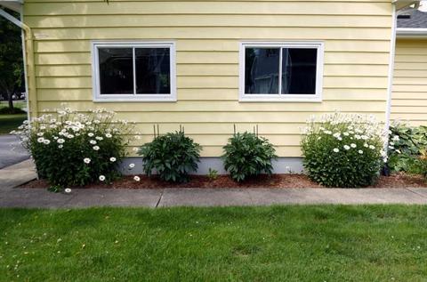 367 Wethersfield St, Rowley, MA 01969 photo 24