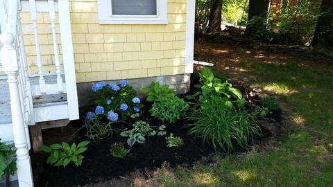 41 Wethersfield St, Rowley, MA 01969 photo 20