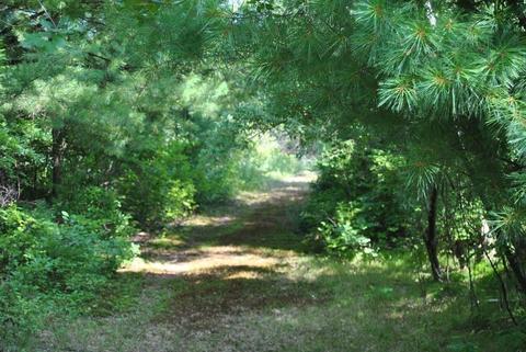 32 Jackson Rd, Webster, MA 01570 photo 14