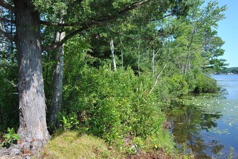 32 Jackson Rd, Webster, MA 01570 photo 12