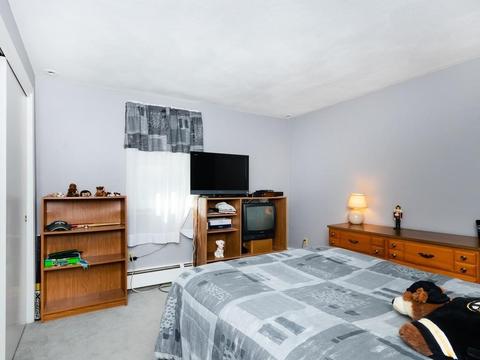 12 Nancy Cir, Canton, MA 02021 photo 15
