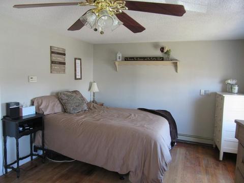 42 Collins St, Worcester, MA 01606 photo 19